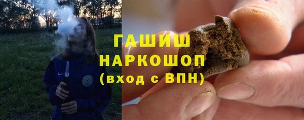 мдпв Инсар