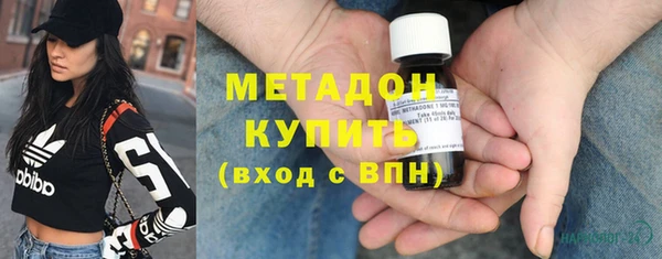 сатива Инта