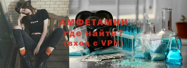 сатива Инта