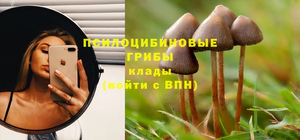 МДМА Каменка
