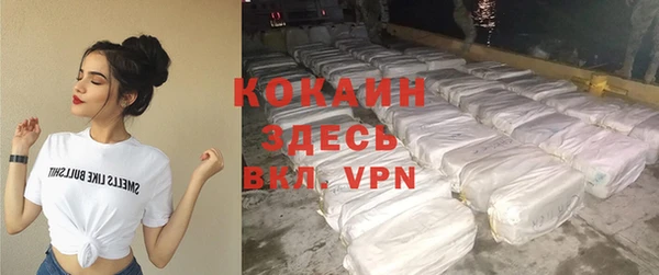 сатива Инта