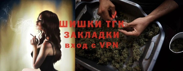 мдпв Инсар