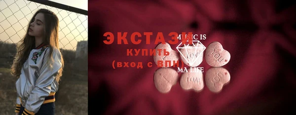 мдпв Инсар
