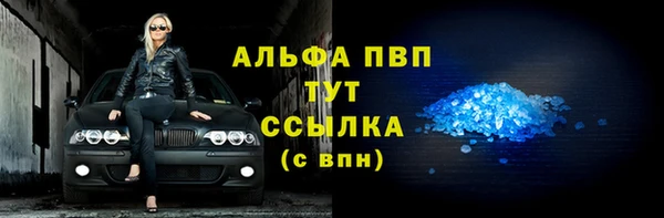 мдпв Инсар