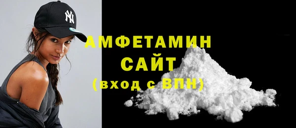сатива Инта