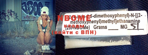мдпв Инсар